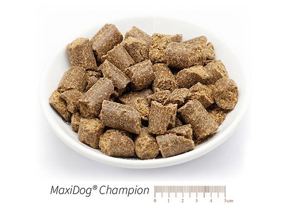 Karma Maxidog/ Maxicat Reico Vital Niemcy