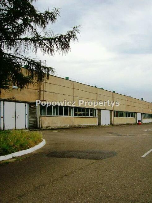 Lokal użytkowy Przemyśl, Monte Cassino