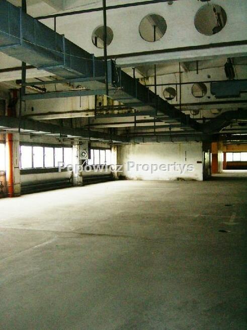 Lokal użytkowy Przemyśl, Monte Cassino