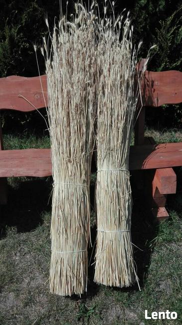 Słoma żytnia prosta