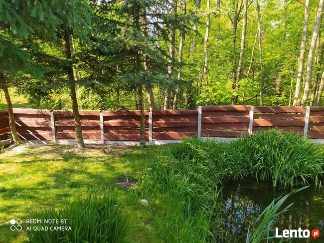 ogrodzenia drewniane