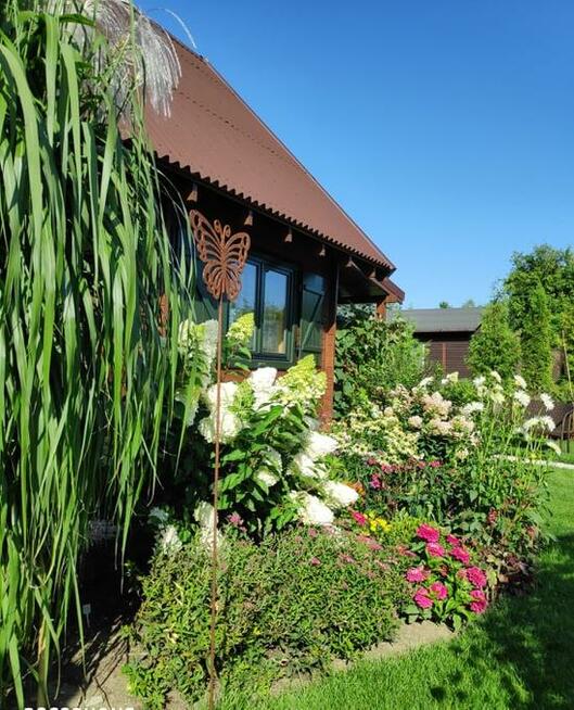 Działka w ROD Chotomów z drewnianym domem z 2017 r.