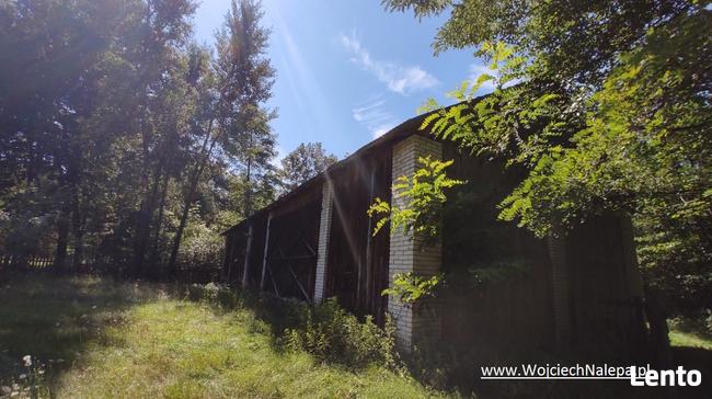 siedlisko / leśniczówka z zabudowaniami Lasy Janowskie