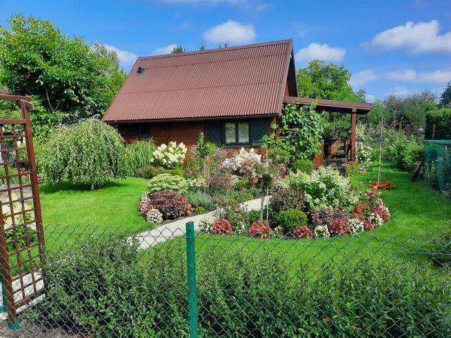 Działka w ROD Chotomów z drewnianym domem z 2017 r.