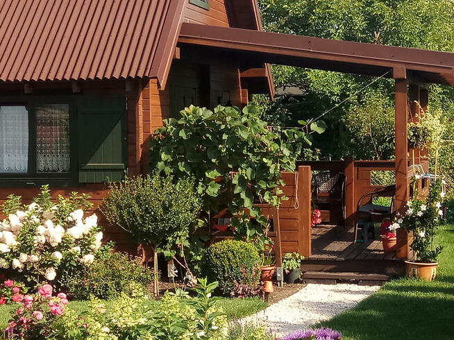 Działka w ROD Chotomów z drewnianym domem z 2017 r.