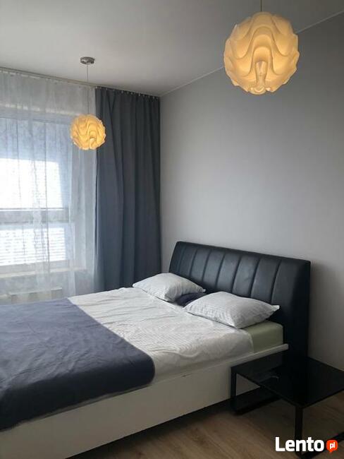 Dom Seniora Tomaszow M Wynajem Do wynajęcia Mieszkanie Dom P