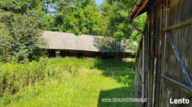 siedlisko / leśniczówka z zabudowaniami Lasy Janowskie