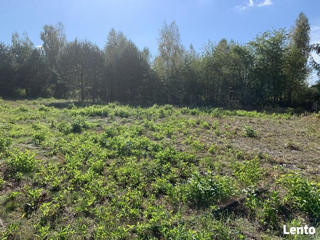 Działka w Ostrowach Tuszowskich