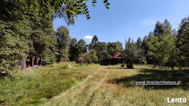 siedlisko / leśniczówka z zabudowaniami Lasy Janowskie