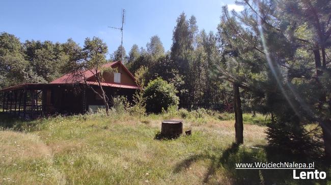 siedlisko / leśniczówka z zabudowaniami Lasy Janowskie