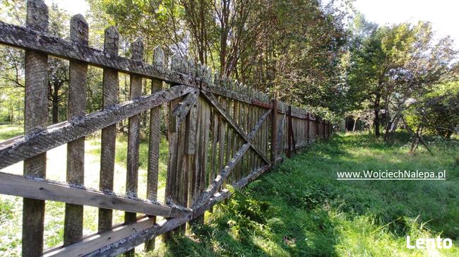 siedlisko / leśniczówka z zabudowaniami Lasy Janowskie