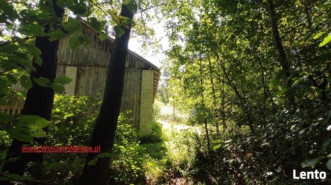 siedlisko / leśniczówka z zabudowaniami Lasy Janowskie