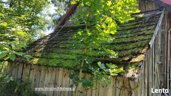siedlisko / leśniczówka z zabudowaniami Lasy Janowskie