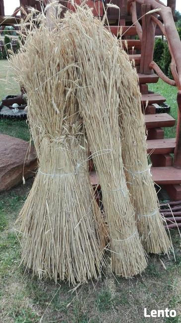 Słoma żytnia prosta