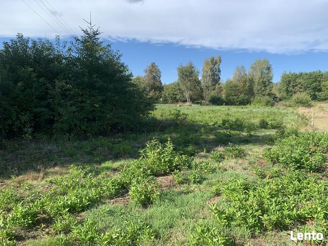 Działka w Ostrowach Tuszowskich