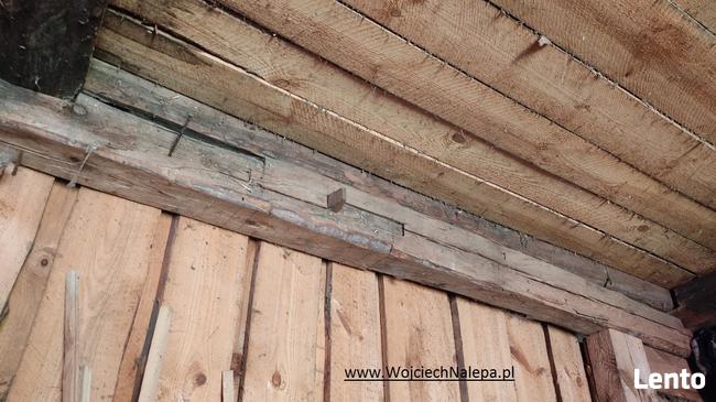 siedlisko / leśniczówka z zabudowaniami Lasy Janowskie