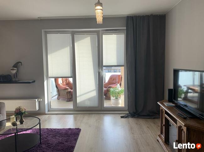 Dom Seniora Tomaszow M Wynajem Do wynajęcia Mieszkanie Dom P