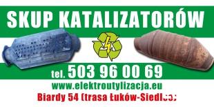 skup katalizatorów BIARDY Łuków Siedlce