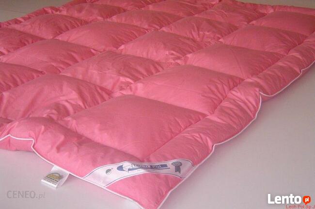 Zakład usługowy czyszczenia pierza