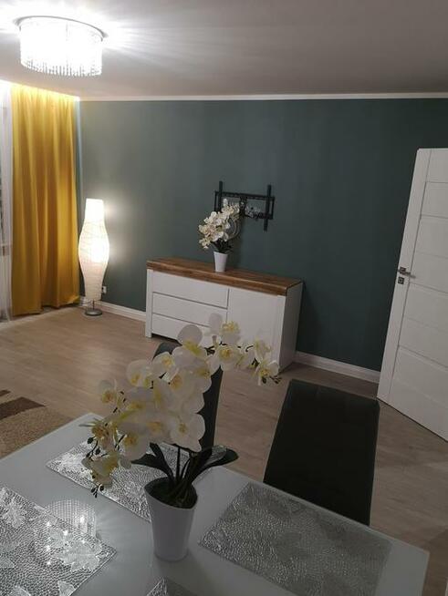 Gdańsk Chełm - piękne mieszkanie do wynajęcia 50 m2