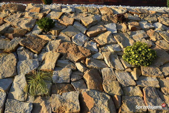 Żółty kamień ogrodowy