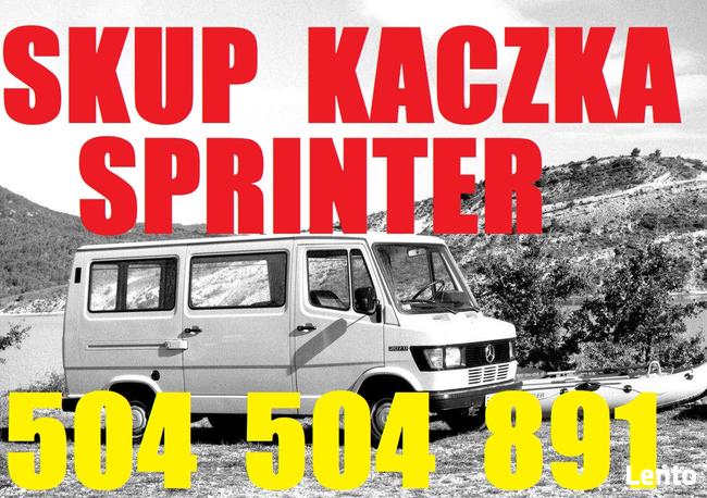 Skup Aut 504504891 Mercedes Sprinter, Kaczka,Vito,124 inne