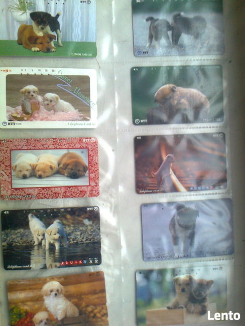 Sprzedam czyste karty telefoniczne - STARY LUBLIN