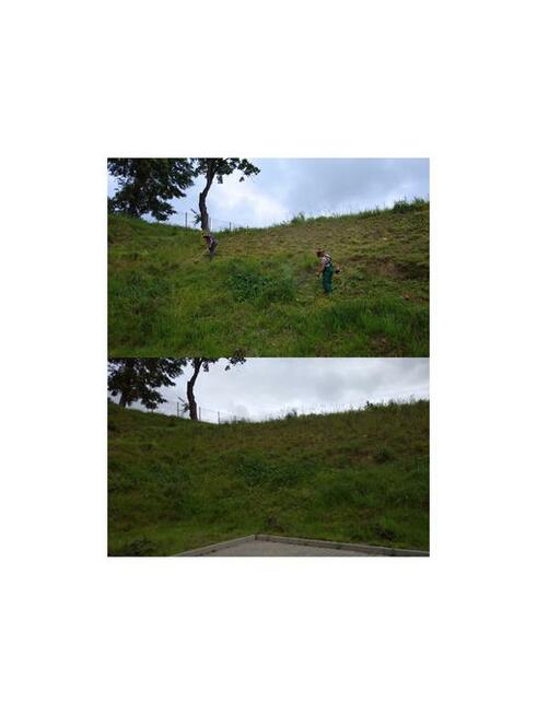 SPRZĄTNIE DZIAŁEK, KARCZOWANIE DZIAŁEK, PRACE RĘBAKIEM