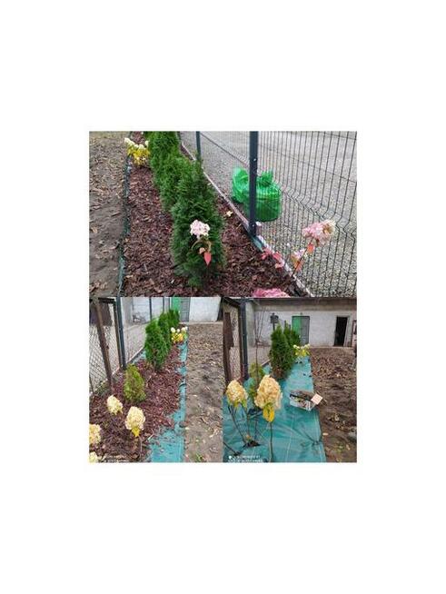 USŁUGI OGRODNICZE, WYNAJEM MASZYN, PRACE PORZĄDKOWE