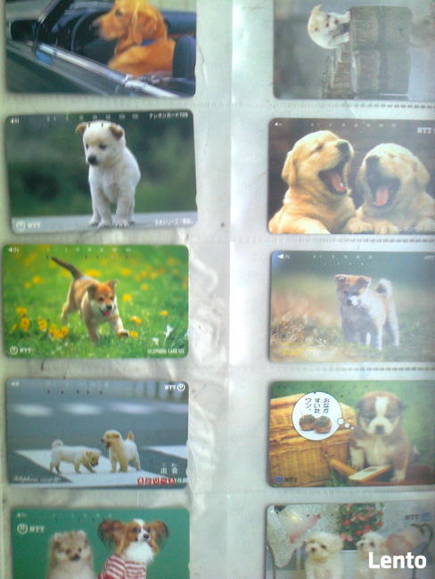 Sprzedam czyste karty telefoniczne - STARY LUBLIN