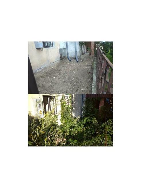 SPRZĄTNIE DZIAŁEK, KARCZOWANIE DZIAŁEK, PRACE RĘBAKIEM