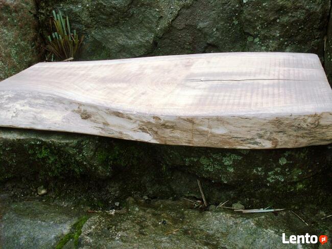 Dębowy blat , pólka , stolik do aranżacji gr 5cm.