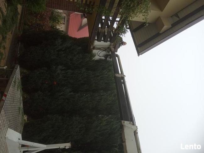 usługi podnośnikiem koszowym wycinka drzew 15m