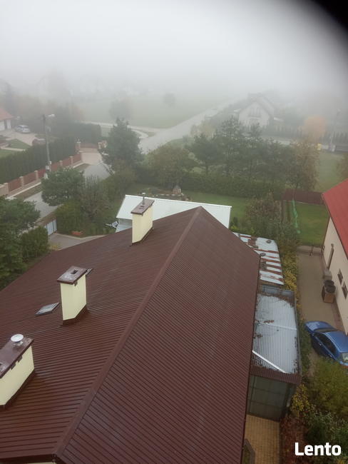 usługi podnośnikiem koszowym wycinka drzew 15m