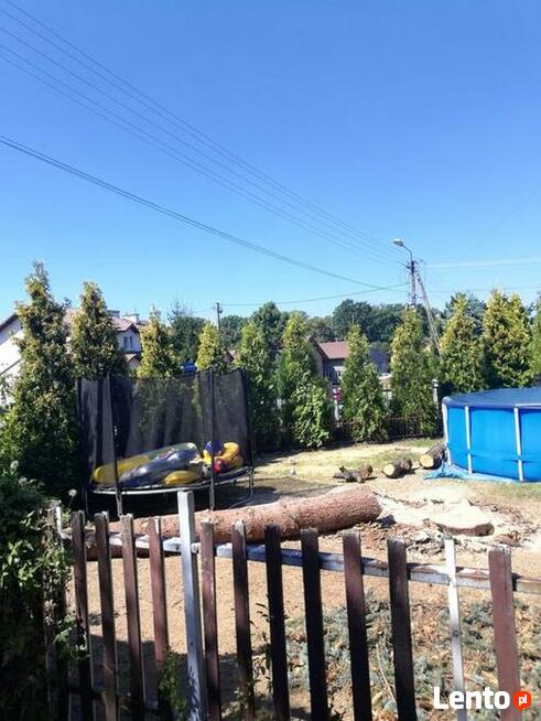 Wycinka drzew trudnych Dębica i okolice