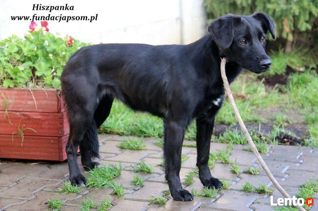 Hiszpanka - młodziutka czarnulka