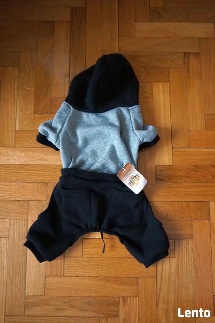 ubranka dla piesków rożne rozmiary i wzory !!! 10 zł !!