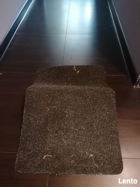 Pranie dywanów tapicerki Łódź DOJAZD GRATIS!