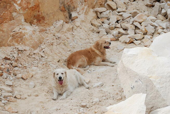Kamień murowy piaskowiec Kraków Łódź Warszawa Gdańsk Poznań