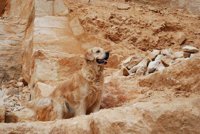 Kamień murowy piaskowiec Kraków Łódź Warszawa Gdańsk Poznań