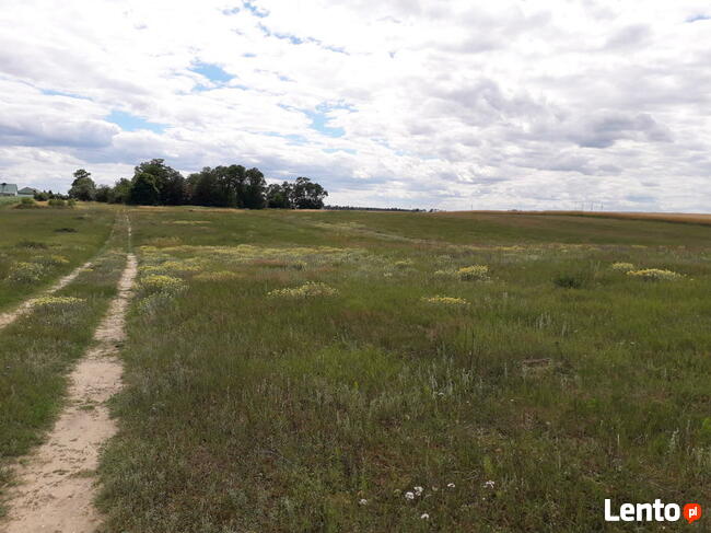 Sprzedam działkę budowlaną w Żakowie - ostatnia działka!!!
