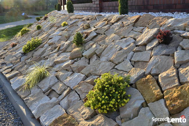 Płaski kamień do ogrodu