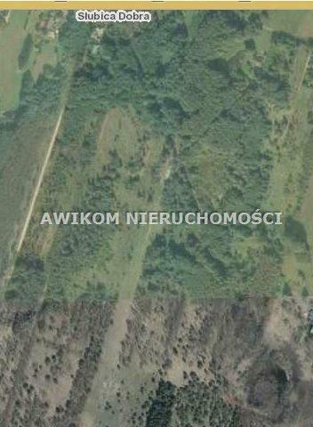 Działka Żabia Wola Słubica Dobra