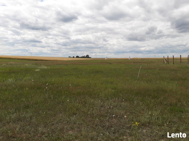 Sprzedam działkę budowlaną w Żakowie - ostatnia działka!!!