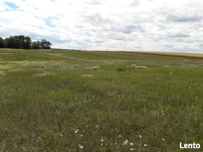 Sprzedam działkę budowlaną w Żakowie - ostatnia działka!!!