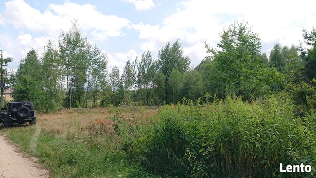 siedlisko choiny 2,7 ha