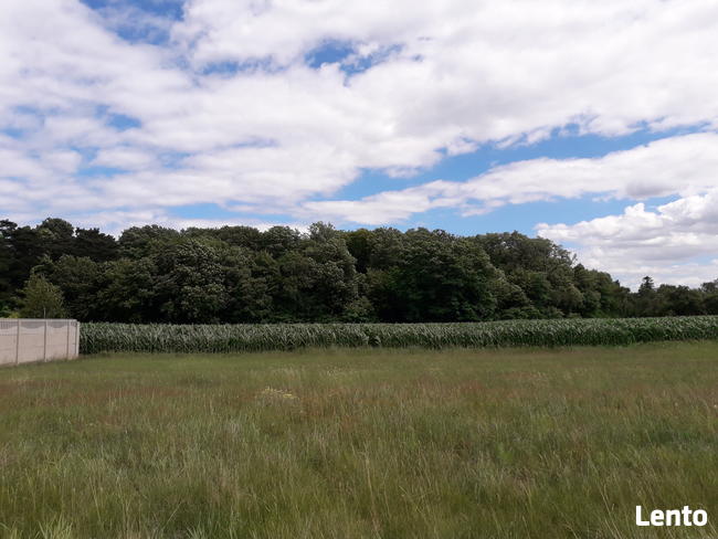 Sprzedam działkę budowlaną w Żakowie - ostatnia działka!!!