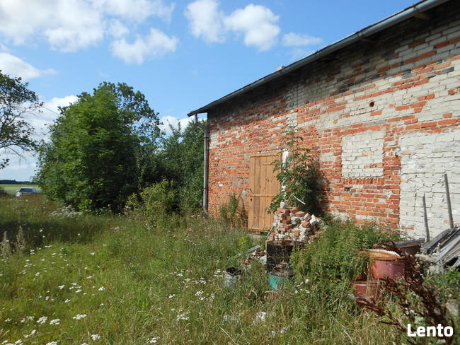 Domek i budynki gospodarcze