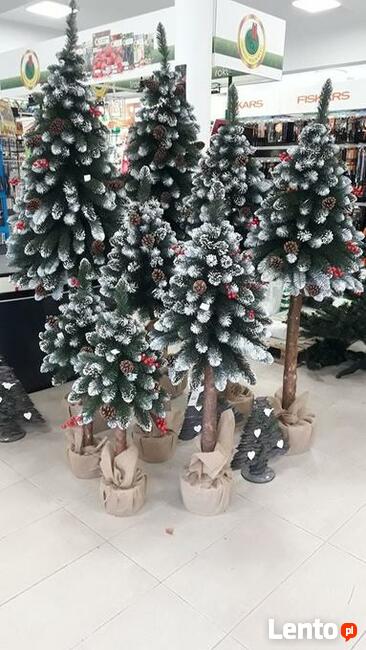 Choinki na pniu z jarzębiną Wysyłka
