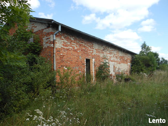 Domek i budynki gospodarcze